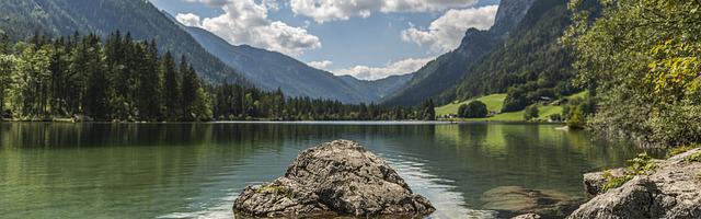 都市神醫葉辰很囂張_第12311章 四神獸（三合一）