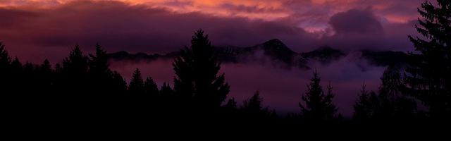 都市神醫葉辰很囂張_第12311章 四神獸（三合一）